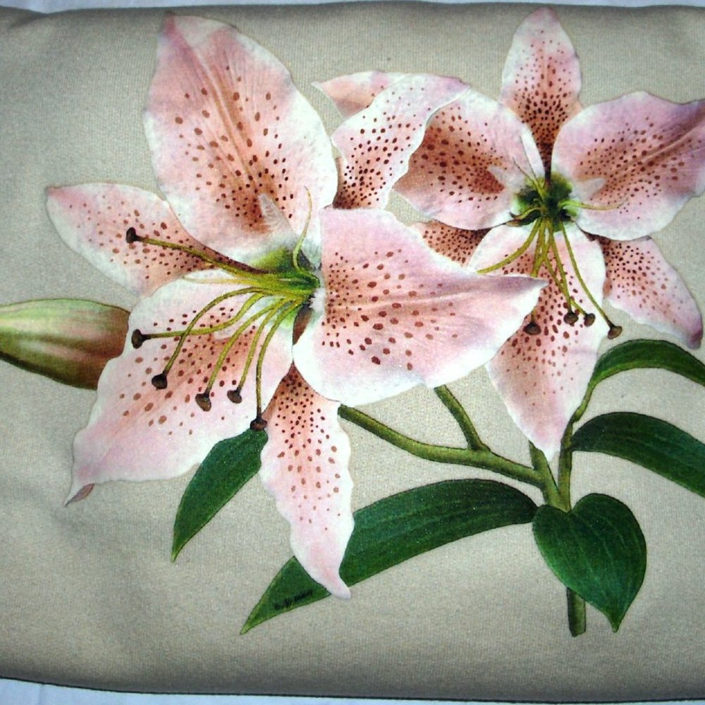 Sand – Lily Crew Neck Sweatshirt